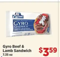 Gordon Food Services Gyro Beef & Lamb Sandwich offer