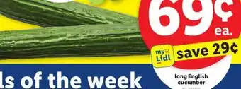 Lidl long English cucumber offer