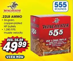 Big 5 Winchester .22LR Ammunition - 555-Round Value Pack offer