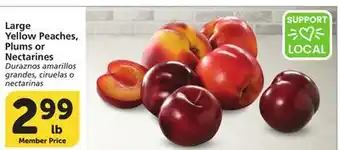 Vons Large Yellow Peaches, Plums or Nectarines offer