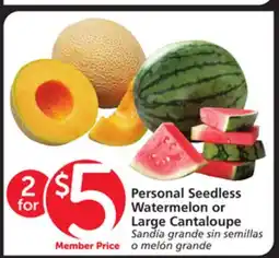 Albertsons Personal Seedless Watermelon or Large Cantaloupe offer