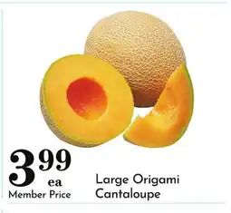 Pavilions Large Origami Cantaloupe offer