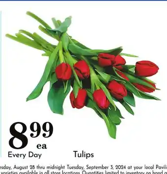 Pavilions Tulips offer