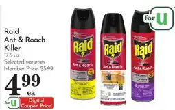 Pavilions Raid Ant & Roach Killer offer