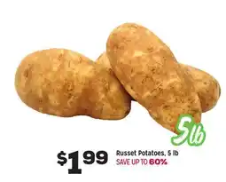 Grocery Outlet Russet Potatoes, 5 lb offer