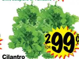 Superior Grocers Cilantro offer
