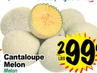 Superior Grocers Cantaloupe Melon offer