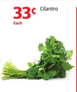 Aldi Cilantro offer