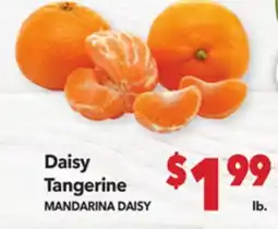 Vallarta Supermarkets Daisy Tangerine/MANDARINA DAISY offer