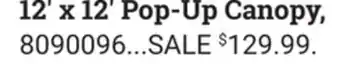 Ace Hardware 12' x 12' Pop-Up Canopy offer