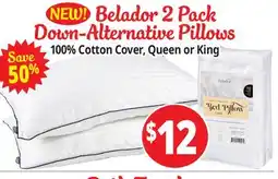 Ocean State Job Lot Belador 2 Pack Down-Alternative Pillows offer