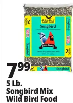 Ocean State Job Lot Better Bird Songbird Better Blends Food 5 lbs offer
