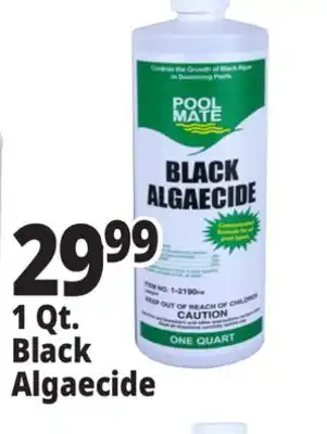 Ocean State Job Lot Pool Mate Black Algaecide 1 Qt offer
