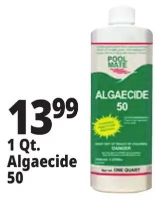 Ocean State Job Lot 1 Qt. Algaecide 50 offer