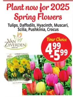 Ocean State Job Lot Plant now for 2025 Spring Flowers offer