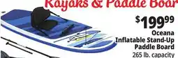 Ocean State Job Lot Bestway Hydro-Force Oceana Inflatable Stand-Up Paddle Board offer