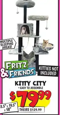 Ollie's FRITZ & FRIENDS KITTY CITY offer