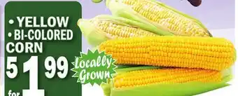 C Town • YELLOW • BI-COLORED CORN offer
