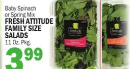 C Town FRESH ATTITUDE FAMILY SIZE SALADS offer