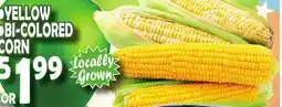 Bravo Supermarkets YELLOW, BI-COLORED CORN offer