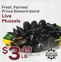 DeCicco & Sons Live Mussels offer