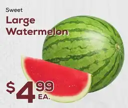 DeCicco & Sons Large Watermelon offer