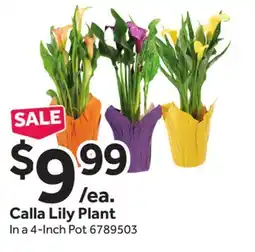 Stop&Shop Calla Lily Plant offer