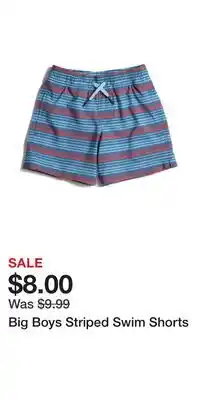 TJ Maxx Big Boys Striped Swim Shorts offer