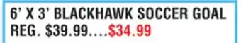 Dunham's Sports FRANKLIN 6' X 3' BLACKHAWK SOCCER GOAL offer