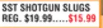 Dunham's Sports SST SHOTGUN SLUGS offer