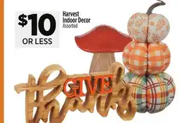 Dollar General Harvest Indoor Decor offer