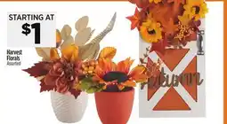 Dollar General Harvest Florals offer
