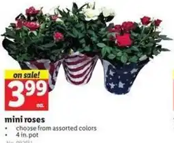 Lidl mini roses offer