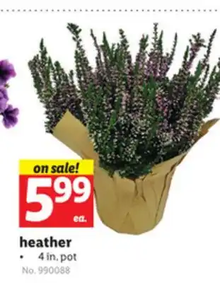 Lidl heather offer