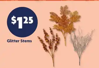Family Dollar Glitter Stems offer