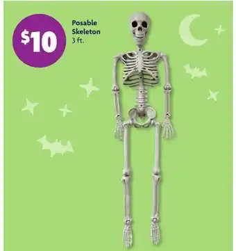 Family Dollar Posable Skeleton offer