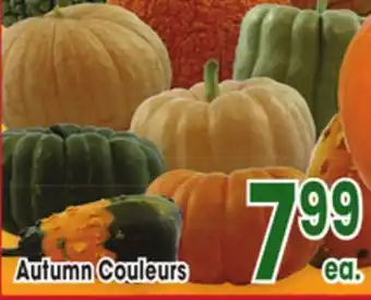 Jewel-Osco Autumn Couleurs offer