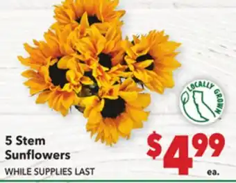 Vallarta Supermarkets 5 Stem Sunflowers offer