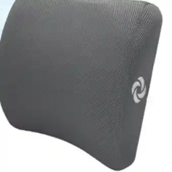 Big 5 Samsonite Gel Infused Memory Foam Lumbar Support Cushion offer