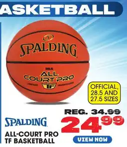 Big 5 Spalding All Court Pro TF Basketball offer