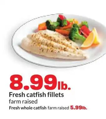 Hy-Vee Fresh catfish fillets offer