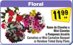 El Super Carnation or Mini Carnation Bouquet or Rainbow Tinted Daisy Poms offer