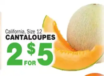 Bravo Supermarkets CANTALOUPES offer