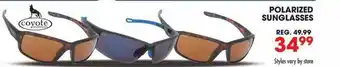 Big 5 Polarized Sunglasses offer