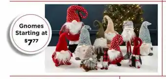 Craft Warehouse Gnomes Starting offer