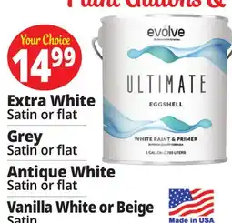 Ocean State Job Lot Paint Gallons & Brushes offer