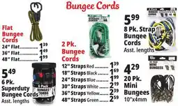 Ocean State Job Lot Flat Bungee Cords offer