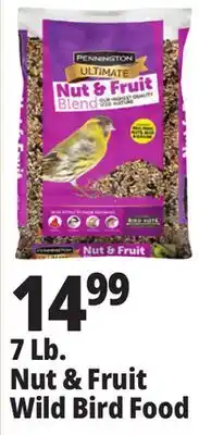 Ocean State Job Lot Wild BIRD FOOD offer