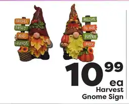 Weis Markets Harvest Gnome Sign offer