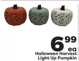 Weis Markets Harvest Light Up Pumpkin offer